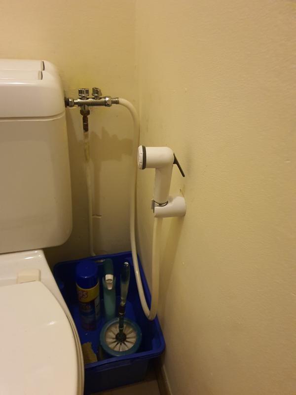 Kit hygiène WC, raccord 3 voies, 12 x 17/15 x 21 mm, REGARDS