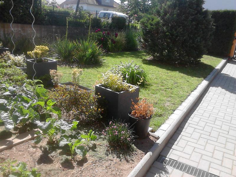 Ouvrir la fenêtre modale de l'avis 1 sur 1