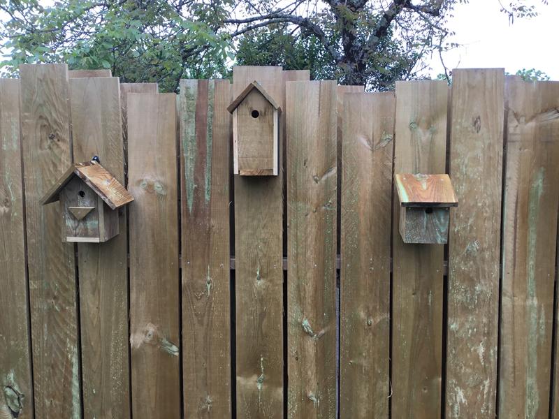 Ouvrir la fenêtre modale de l'avis 1 sur 1