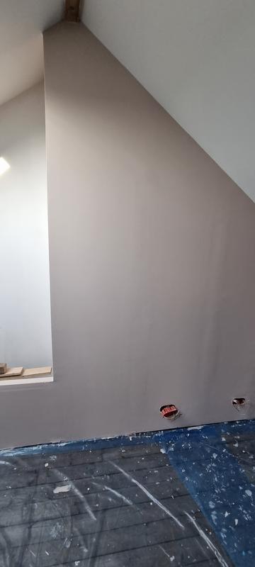 Peinture blanc mur, plafond et boiserie , PUREPAINT velours 0.5 l