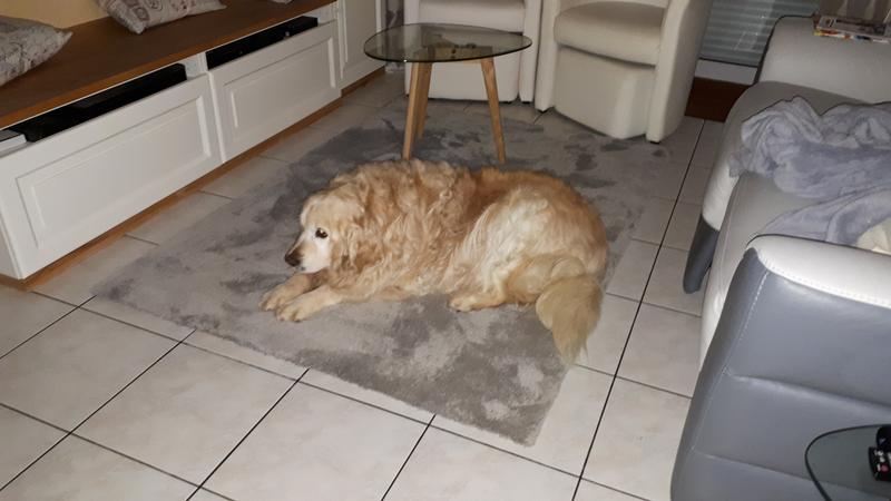 Ouvrir la fenêtre modale de l'avis 1 sur 3