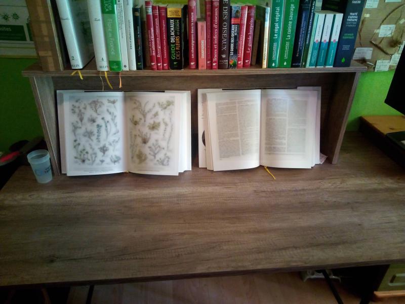 Ouvrir la fenêtre modale de l'avis 6 sur 6