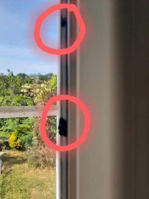 Ouvrir la fenêtre modale de l'avis 1 sur 1