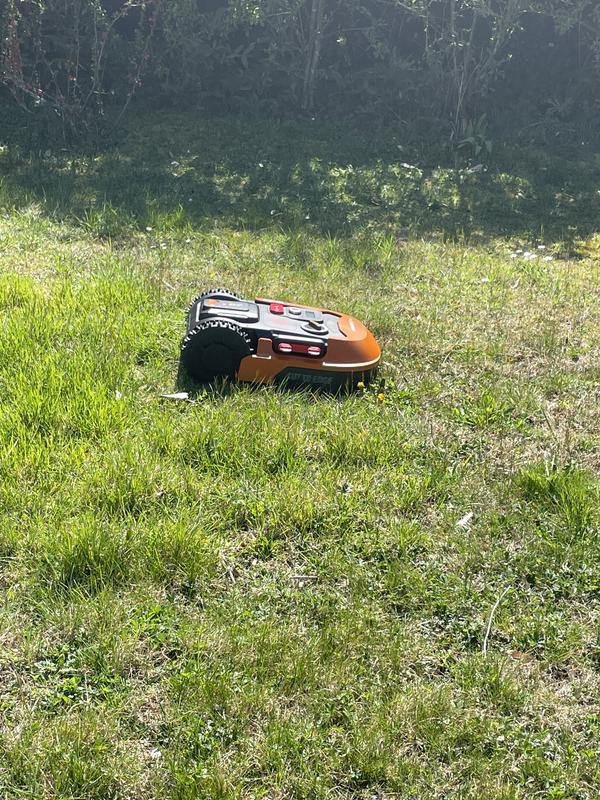 Revisione aperta modale 1 su 1