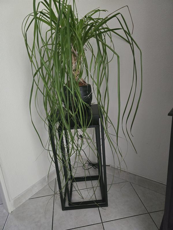 Ouvrir la fenêtre modale de l'avis 1 sur 1