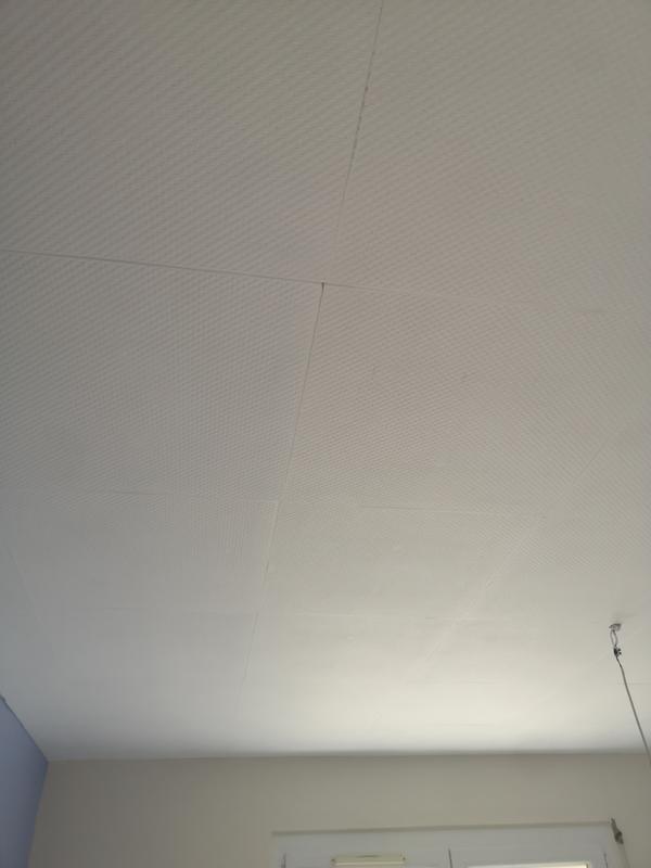Dalle De plafond t141 polymère expansé 10 mm, L.50 x l.50 cm