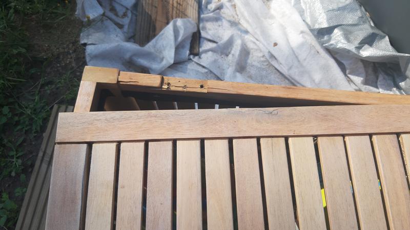 Abra o modal de avaliação 1 de 5