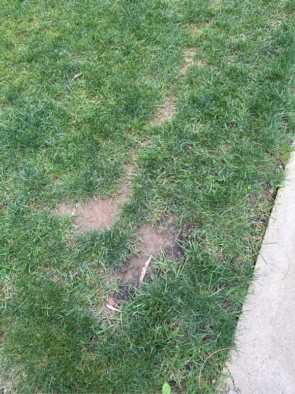 Revisione aperta modale 1 su 4