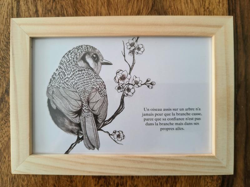 Ouvrir la fenêtre modale de l'avis 1 sur 1