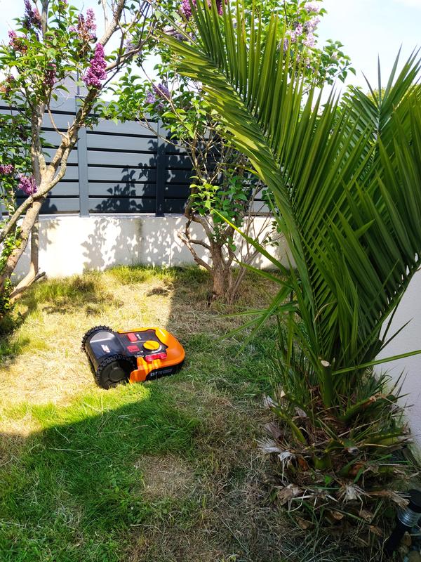 Ouvrir la fenêtre modale de l'avis 1 sur 6