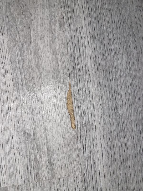 Revisione aperta modale 2 su 2