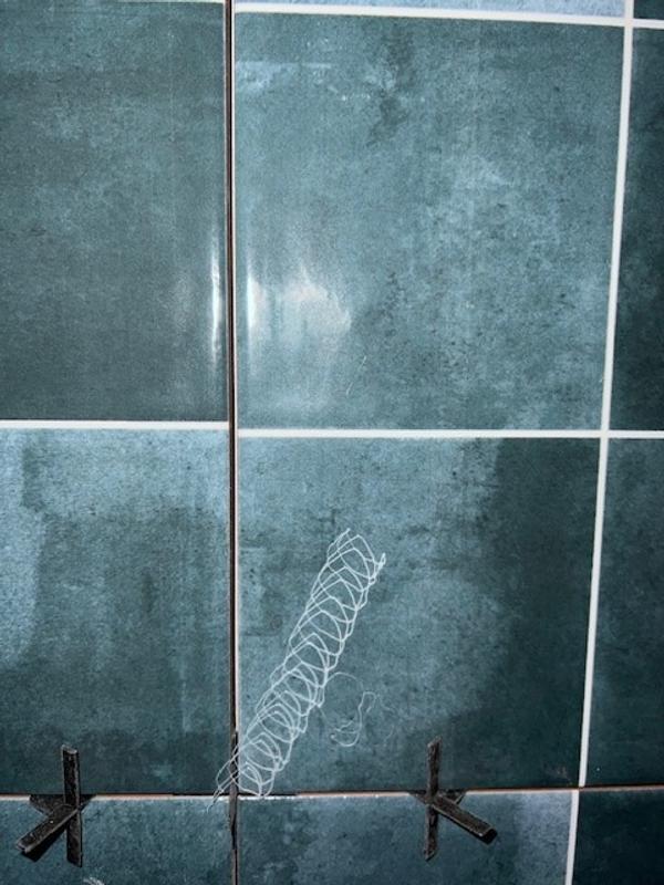 Revisione aperta modale 2 su 2