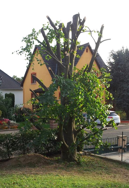 Ouvrir la fenêtre modale de l'avis 2 sur 2