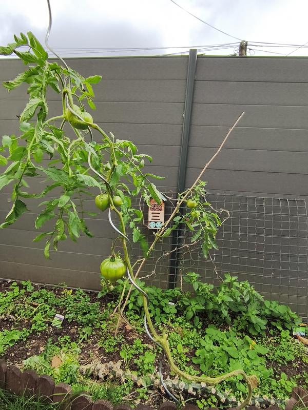 Ouvrir la fenêtre modale de l'avis 3 sur 4