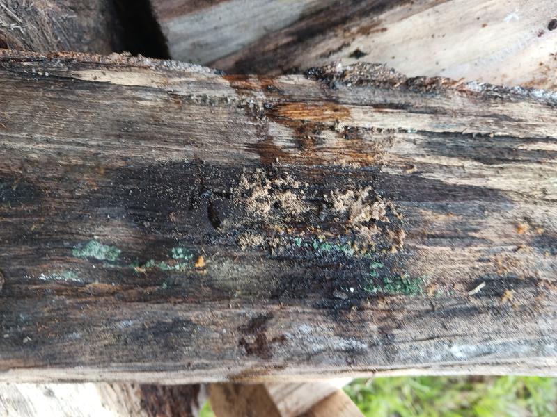 Ouvrir la fenêtre modale de l'avis 3 sur 6