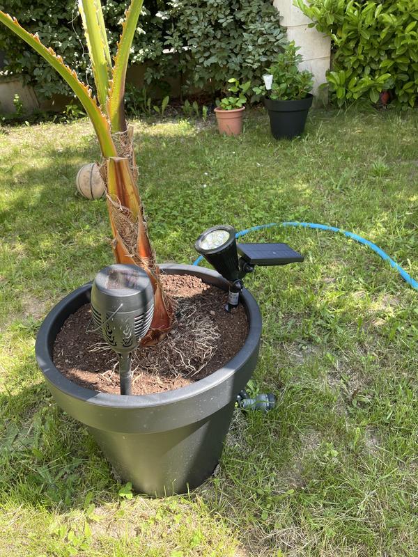 Ouvrir la fenêtre modale de l'avis 1 sur 1