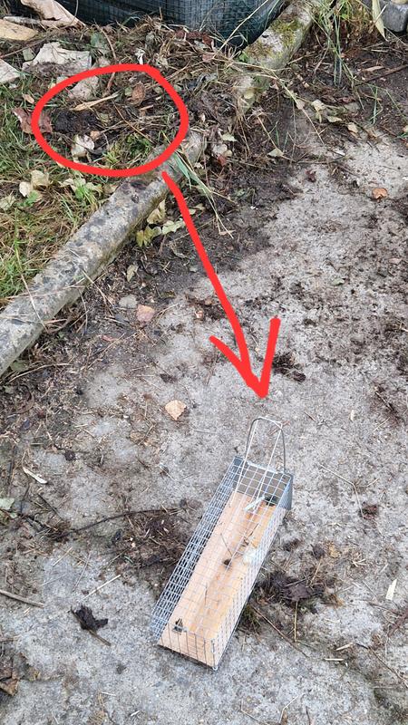 Ouvrir la fenêtre modale de l'avis 2 sur 2