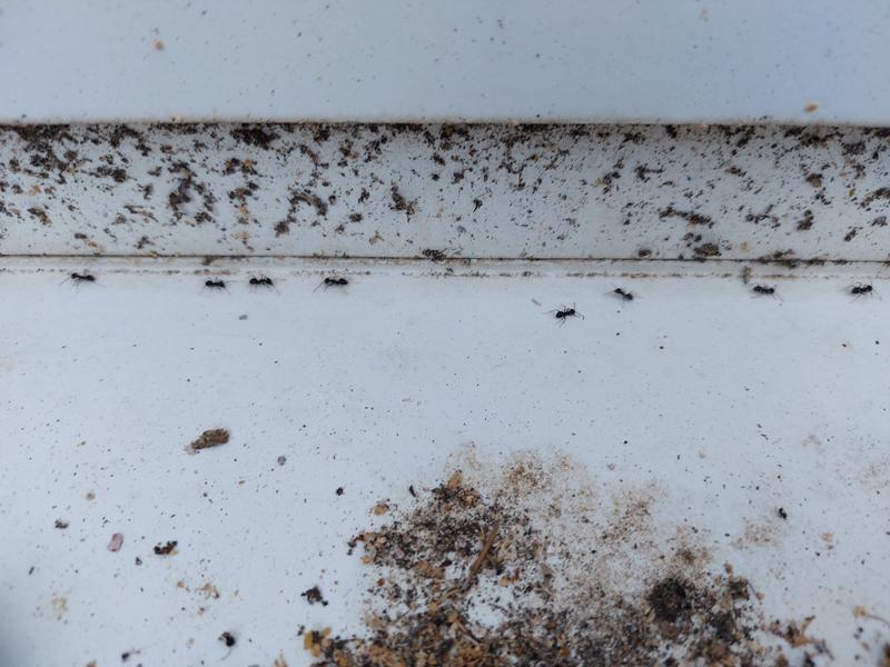 Ouvrir la fenêtre modale de l'avis 1 sur 1