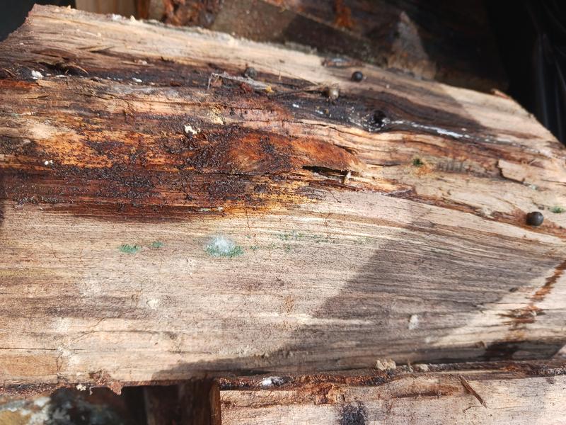 Ouvrir la fenêtre modale de l'avis 6 sur 6