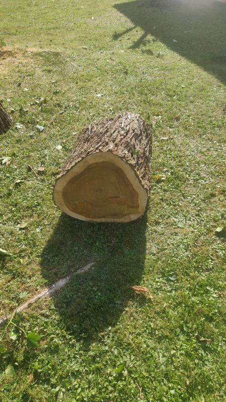 Revisione aperta modale 2 su 2