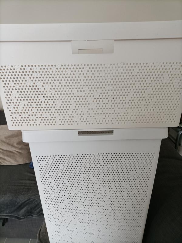 Ouvrir la fenêtre modale de l'avis 3 sur 3