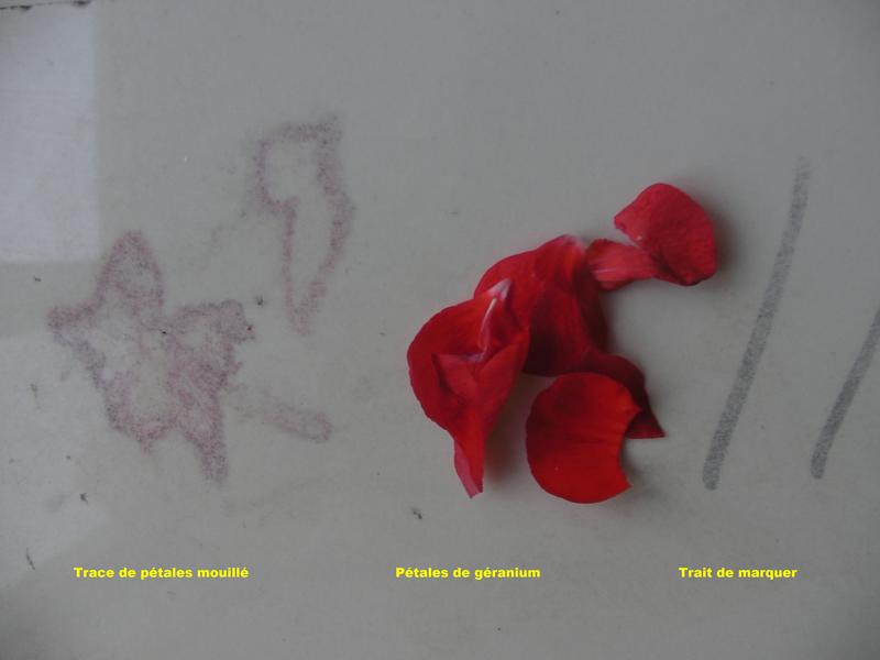 Ouvrir la fenêtre modale de l'avis 3 sur 5