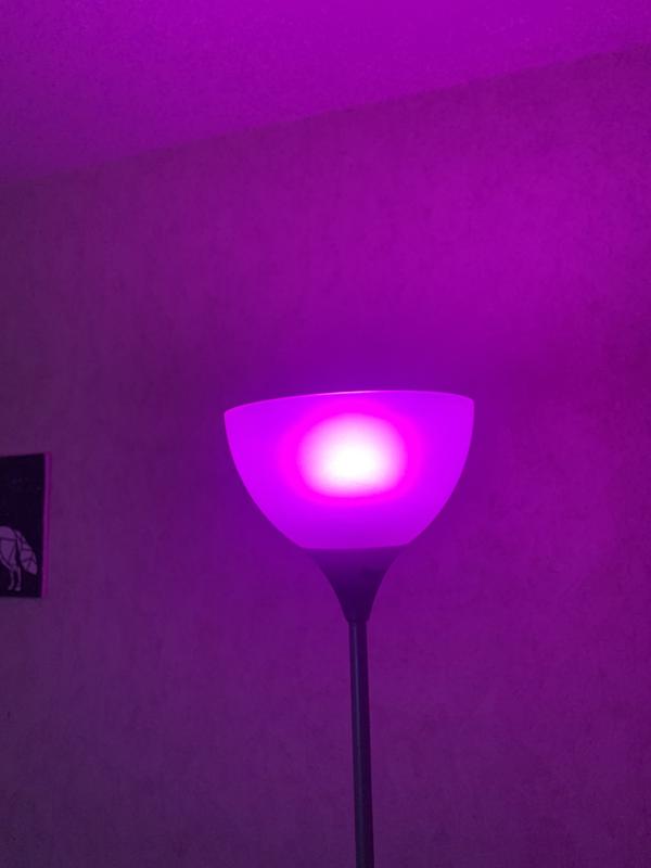 Abra o modal de avaliação 1 de 2