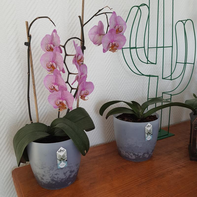 Ouvrir la fenêtre modale de l'avis 1 sur 2