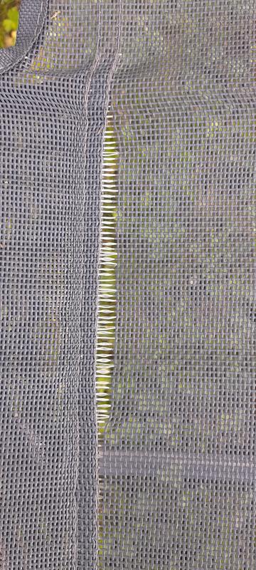 Revisione aperta modale 2 su 2