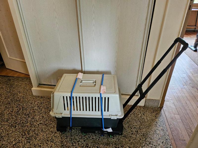 Ouvrir la fenêtre modale de l'avis 1 sur 2