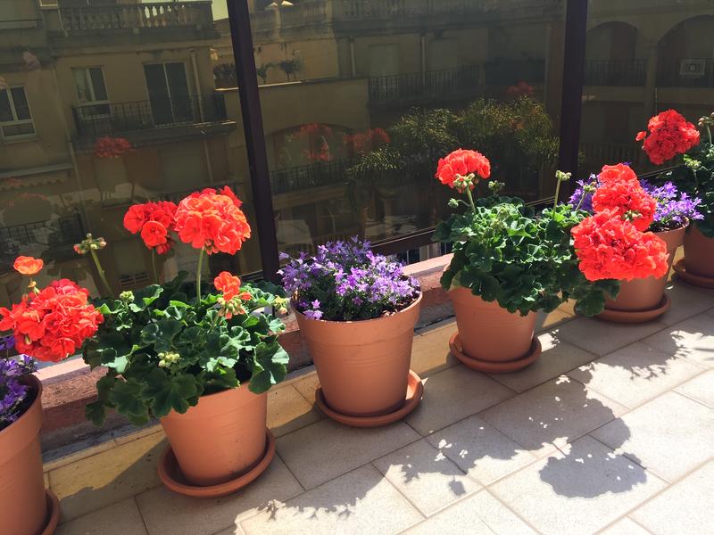 Ouvrir la fenêtre modale de l'avis 1 sur 1