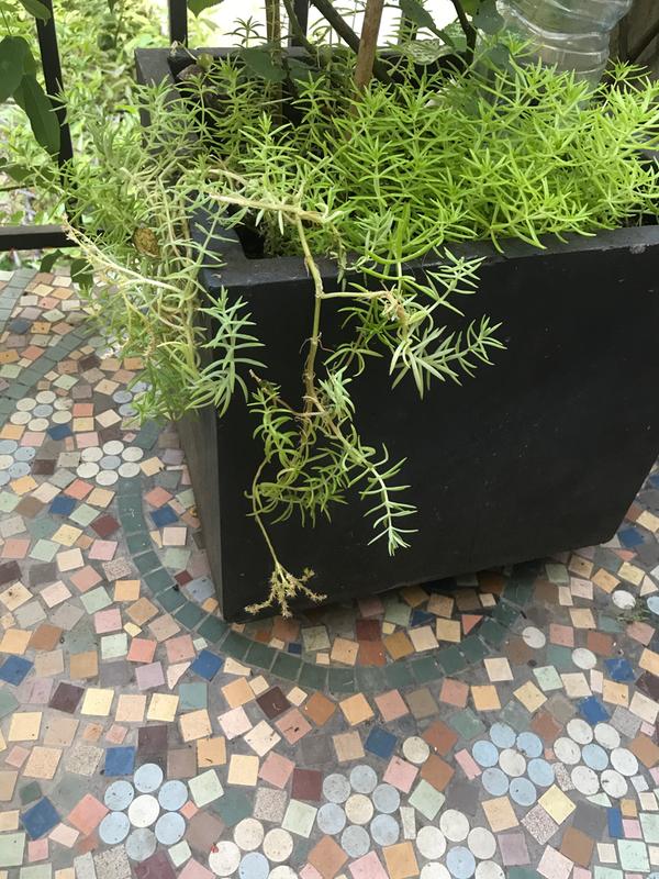 Ouvrir la fenêtre modale de l'avis 1 sur 1