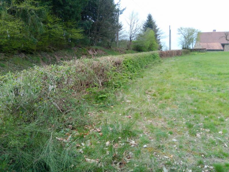 Ouvrir la fenêtre modale de l'avis 5 sur 5