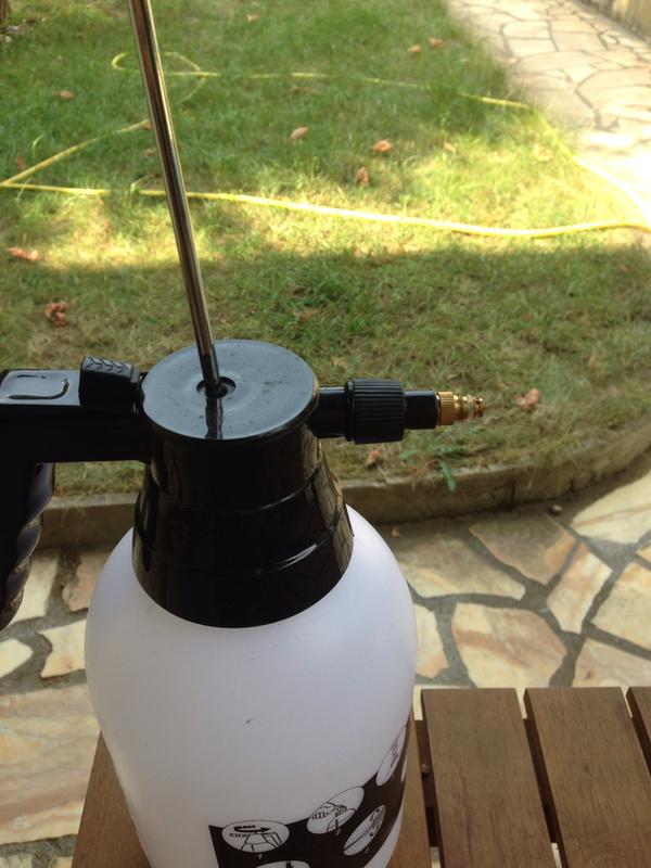 Revisione aperta modale 2 su 2