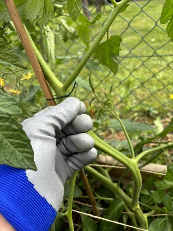 Abra o modal de avaliação 1 de 1