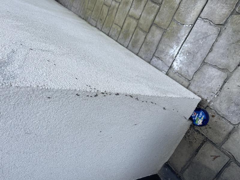 Ouvrir la fenêtre modale de l'avis 1 sur 2