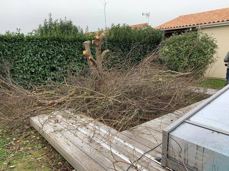 Ouvrir la fenêtre modale de l'avis 1 sur 1