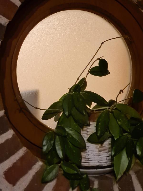 Ouvrir la fenêtre modale de l'avis 2 sur 2