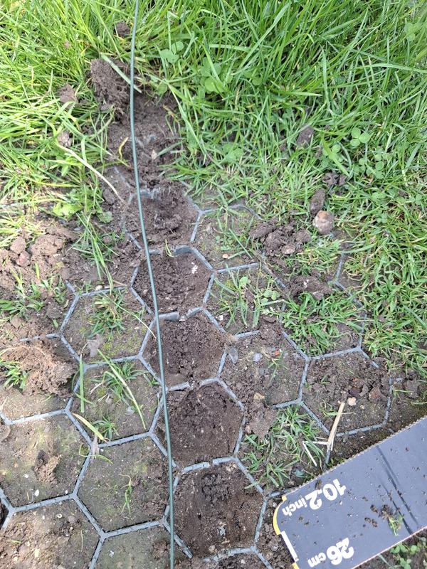 Ouvrir la fenêtre modale de l'avis 3 sur 3