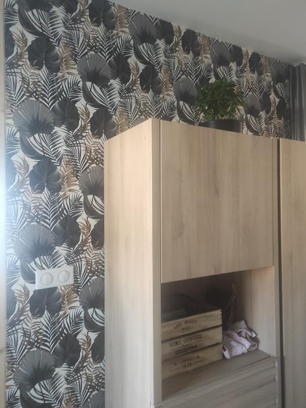 Ouvrir la fenêtre modale de l'avis 1 sur 1