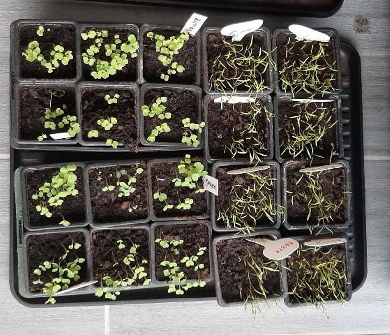 Ouvrir la fenêtre modale de l'avis 1 sur 2