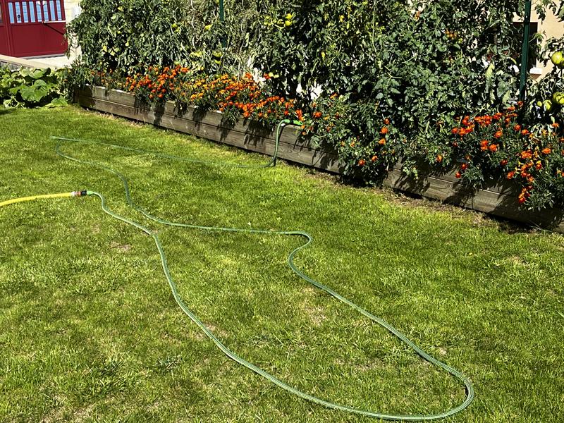 Revisione aperta modale 3 su 4