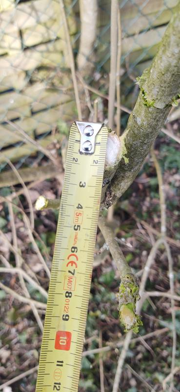 Ouvrir la fenêtre modale de l'avis 4 sur 6