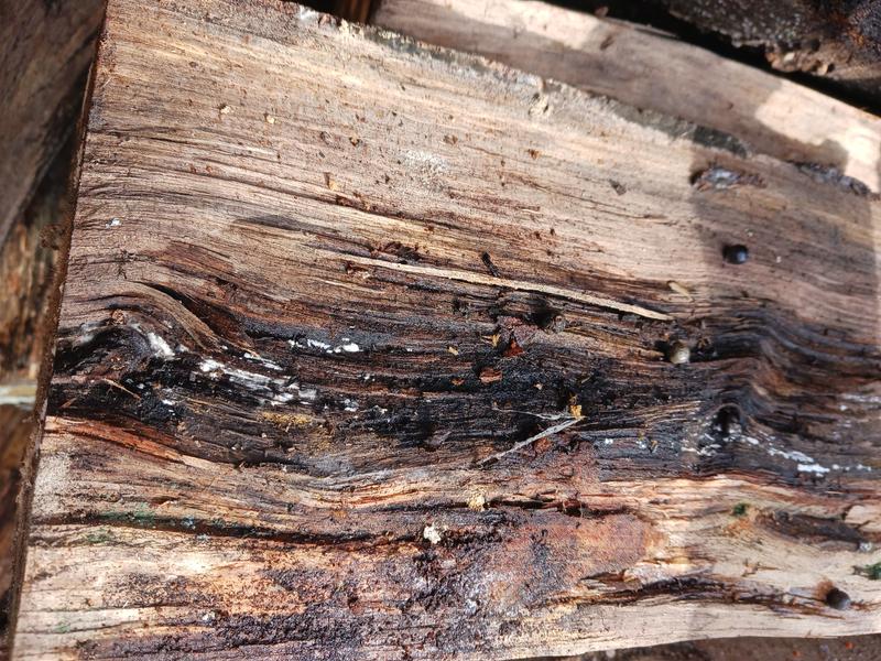 Ouvrir la fenêtre modale de l'avis 4 sur 6