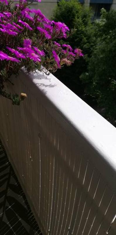 Ouvrir la fenêtre modale de l'avis 2 sur 2