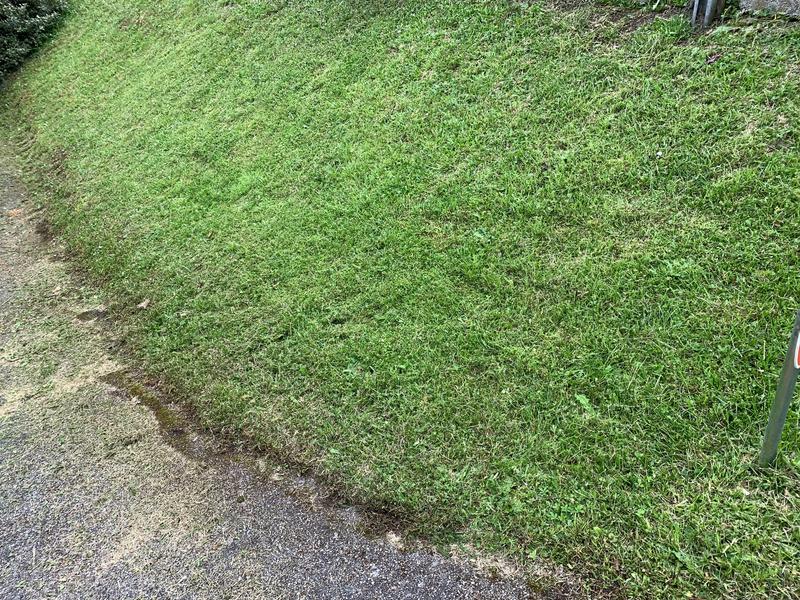 Ouvrir la fenêtre modale de l'avis 5 sur 5