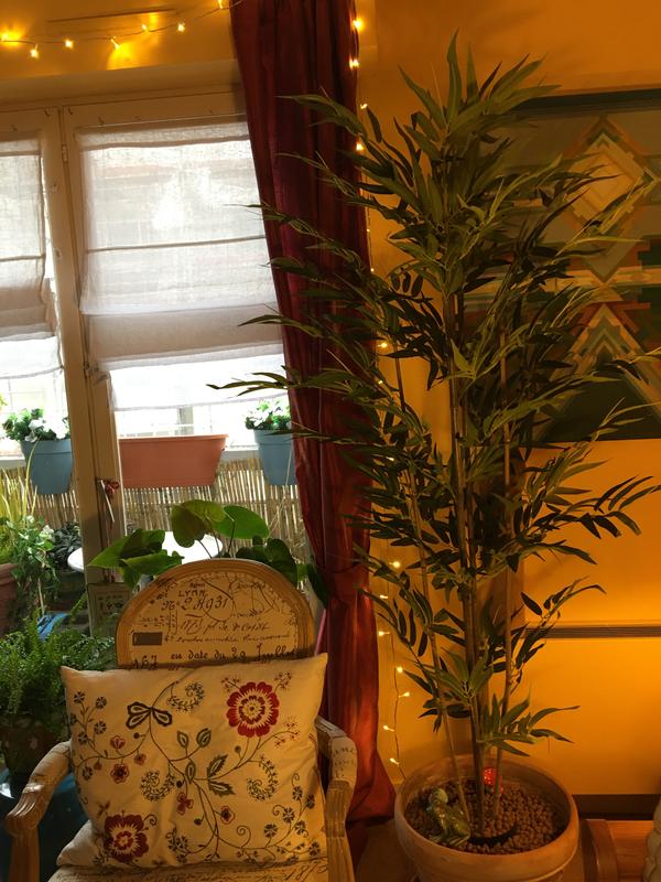 Ouvrir la fenêtre modale de l'avis 1 sur 1