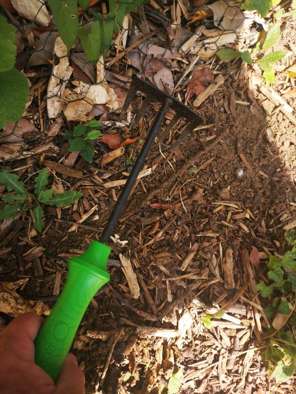 Revisione aperta modale 2 su 2