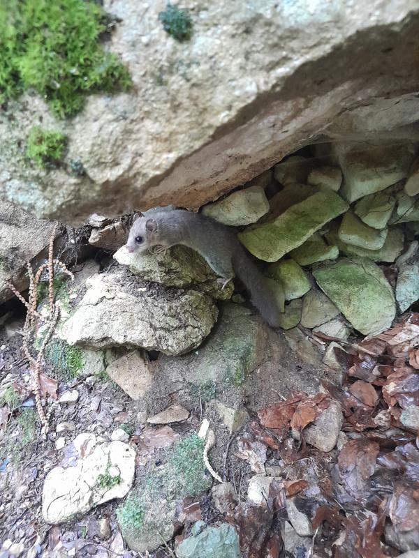 Ouvrir la fenêtre modale de l'avis 3 sur 3