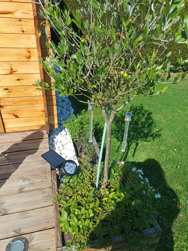 Ouvrir la fenêtre modale de l'avis 1 sur 1